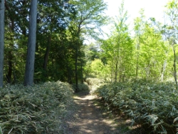 画像28